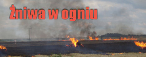niwa w ogniu