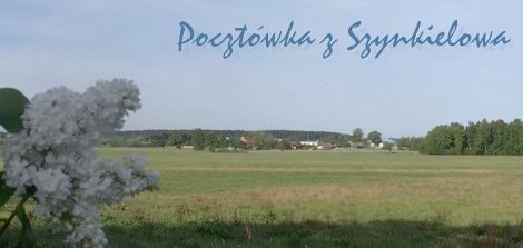 fot. Jadwiga Klimczak. Pocztówka z Szynkielowa. WIOSNA