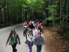 Wycieczka do Sandomierza i Kazimierza nad Wis 