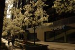 AOBA NARODOWA. Korespondencja z Chicago